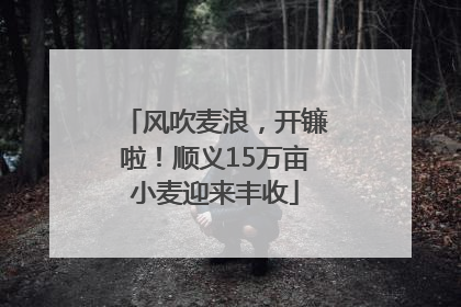 风吹麦浪，开镰啦！顺义15万亩小麦迎来丰收